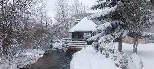 a cabin covered in snow next to a river at Apartmani Villa Deleon Bjelasnica in Trnovo