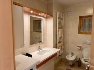a bathroom with a sink and a toilet at Scurcia in Ortisei