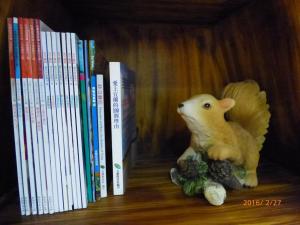 Biblioteca nella stanza in casa privata