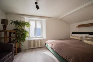 Photo de la galerie de l'établissement Attic apartment with private terrace, à Walenstadt