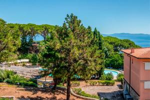 an aerial view of a resort with a tree and a pool at Appartamento Vista Mare - Spriano in Rio Marina