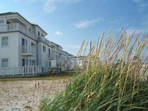 a row of houses on the beach with tall grass at Strand Hus by Seeblick Ferien in Olpenitz