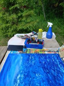 a toy boat sitting on top of a swimming pool at Pyrrön pirtti, koko talo in Oulainen
