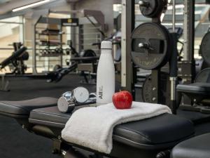 Fitness centrum a/nebo fitness zařízení v ubytování Ibis Fujairah