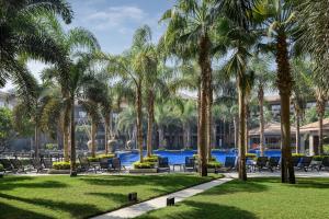 Kolam renang di atau dekat dengan Dusit Thani LakeView Cairo