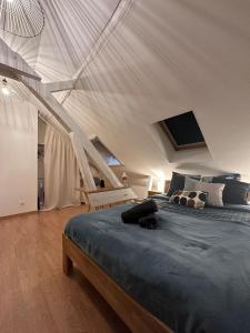 a bedroom with a large bed with a ceiling at Le Soleil-Levant centre-ville in Chalon-sur-Saône