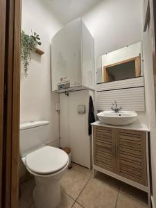 a bathroom with a toilet and a sink at Le Soleil-Levant centre-ville in Chalon-sur-Saône +13 photos