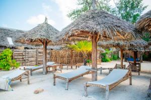 a group of chairs and umbrellas on a beach at Pazuri kendwa Beach Hotel in Nungwi