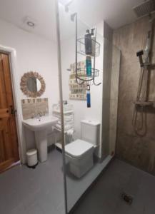 ein Badezimmer mit Toilette und Waschbecken in der Unterkunft Cottage with 360 views in Gilwern