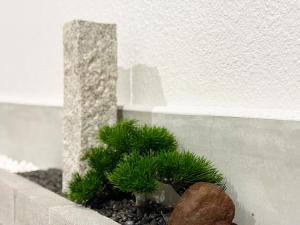 Fotografie z fotogalerie ubytování 青羽-姜茶 v Osace