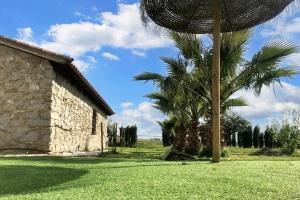 eine Palme und ein Regenschirm neben einem Gebäude in der Unterkunft Welcoming House in Alcaracejos with Shared Pool in Alcaracejos