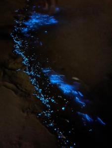 南竿马祖牛角海边民宿餐饮的相册照片