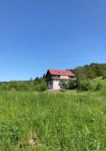 Fotografie z fotogalerie ubytování GITE DE LA BOULOIE - 8 Chambres avec sdb v destinaci Bussang