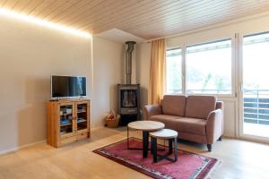TV a/nebo společenská místnost v ubytování Apartment Bischofberger D20
