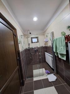 a bathroom with a shower with a glass door at Cabana cu trofee in Schitu-Tarcău +45 photos