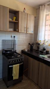 eine Küche mit Herd und Arbeitsplatte in der Unterkunft Eldorado cabin in Nyeri