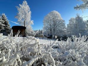 VAGONBublava v zimě