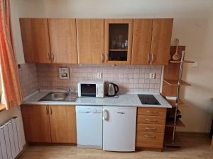 Kuchyň nebo kuchyňský kout v ubytování Apartmán Borgi