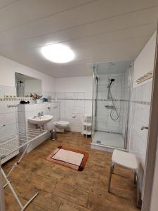 Haus-J-Bull-das-Sonneneck-Ferienwohnung-an-der-schoenen-Ostsee-in-Boergerende-Rethwisch في بورغيريندي-ريثفيش: حمام مع دش ومرحاض ومغسلة