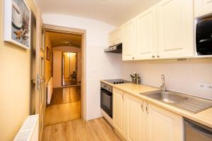 Köök või kööginurk majutusasutuses Apartmány Brychovi