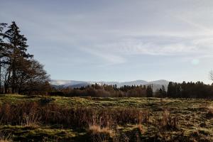 ein Feld mit Bäumen und Bergen im Hintergrund in der Unterkunft Park Cottage - Seasgair Lodges in Kingussie