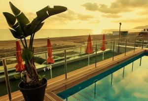 a swimming pool with a potted plant and umbrellas at Apartaments Maritim in Castelldefels