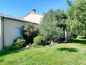 a house with a tree in the yard at Villa du Chanoine Clim Piscine Wifi in Albi