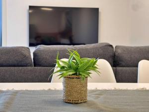a plant sitting on a table in front of a couch at Apartment Bonum with Private Pool in Šilo