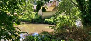 Příroda nedaleko bed and breakfast