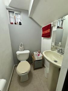 a bathroom with a toilet and a sink at Yes's house in Monterrey +12 photos