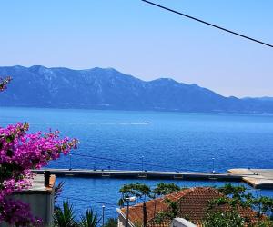 Hrvatska, SUČURAJ-HVAR, Apartments Nada