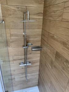 a shower in a bathroom with a wooden wall at Casa Conricado in O Grove +37 photos