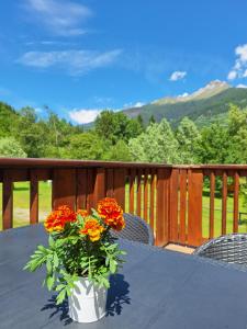 a vase of flowers sitting on a table on a balcony at Chalet Presanella in Temù