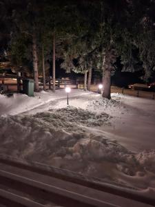 a park covered in snow at night with lights at Sunčani Vrhovi Lux planina Golija in Raška