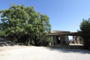 dom z drzewem przed nim w obiekcie il Cottage della Ginestra w mieście Morruzze