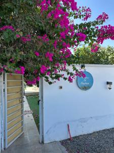 Fotografie z fotogalerie ubytování Tiny cosy home v destinaci Barka