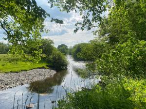 un fiume con alberi sul lato di Bronfelin & Troed-y-Rhiw Holiday Cottage a Llanwrtyd Wells