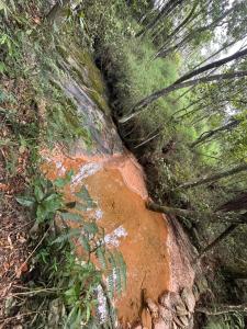 audace di acqua sul lato di un albero di Complexo canta galo Camping a São Thomé das Letras