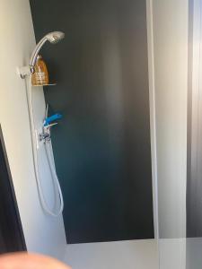 a shower with a shower head in a bathroom at Mobilhome 8 personnes cosy tout équipé avec vue sur bassin, cap ferret in Lège-Cap-Ferret