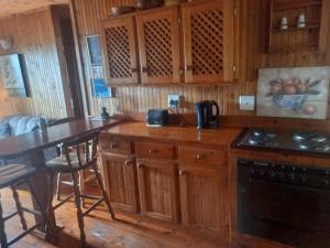 a kitchen with wooden cabinets and a wooden counter top at Emerald Hill Cabin in Mount Pleasant