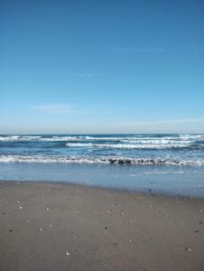 a sandy beach with the ocean in the background at La casa di Alice in Venice