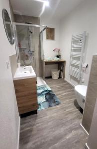 un bagno con doccia, lavandino e WC di De l'herbe jusqu'aux genoux - appartement 60 m2 a La Vancelle