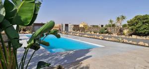 ein Swimmingpool mitten in einem Hof in der Unterkunft Villa Estrella de Blanca in La Oliva