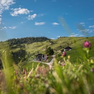 a green hill with houses and flowers in the foreground at BuchackerAlm -1,5h panoramic walk in Angerberg