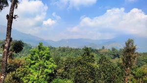 Una vista de un bosque con montañas al fondo. en Zira Homestay, en Munnar