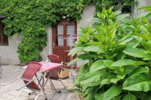 Vonkajšia záhrada v ubytovaní Studio charmant à Néris-les-Bains, 20 m², avec terrasse C