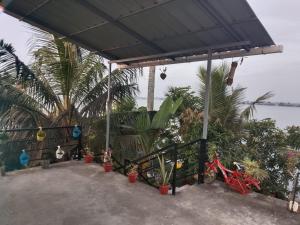 a patio with plants and trees and a blue umbrella at Kathoo's Lakeview Homestay in Alleppey
