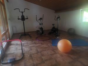 Posilňovňa alebo fitness centrum v ubytovaní Grubhof Treetops
