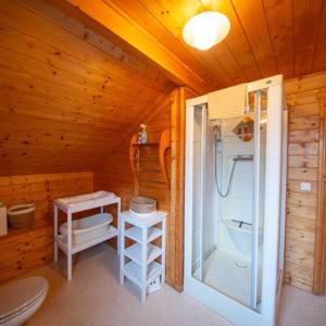 a bathroom with a shower and a toilet in a cabin at Chalet Lipa - Confort et Sauna au cœur des Vosges in La Bresse +28 photos