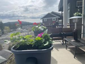 Balkon atau teras di Guest room with private bath in Langford